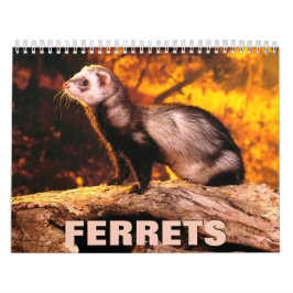 Ferrets väggkalender kalender