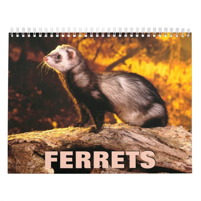 Ferrets väggkalender kalender (Omslag)
