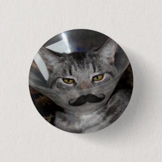 ferrismewlermoustachen knäppas knapp