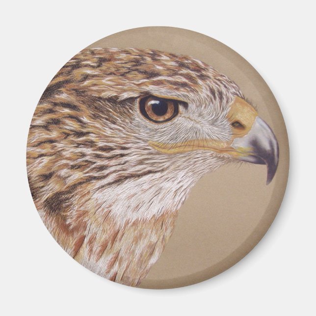 Ferruginous Hawk Magnet (Framsidan)