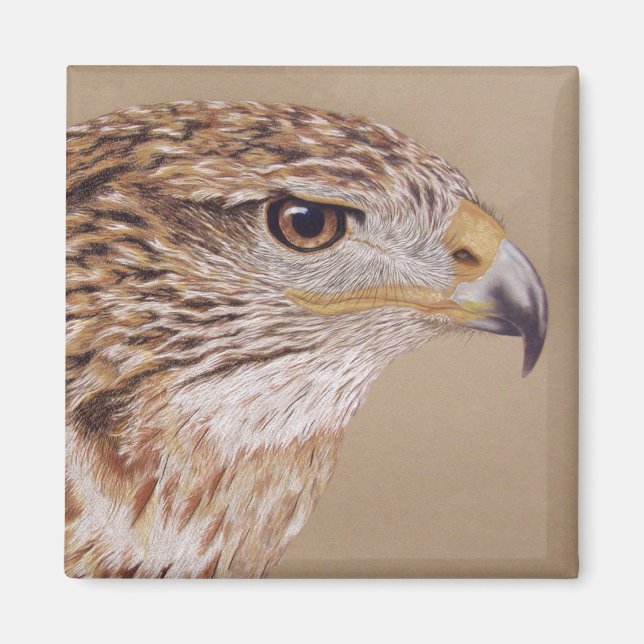 Ferruginous Hawk Magnet (Framsidan)