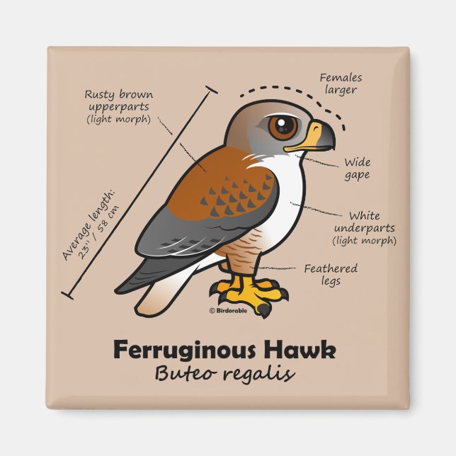 Ferruginous Hawk Statistics Magnet (Framsidan)