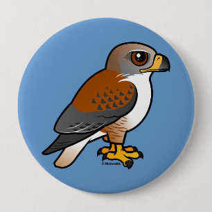 Ferruginous hök knapp