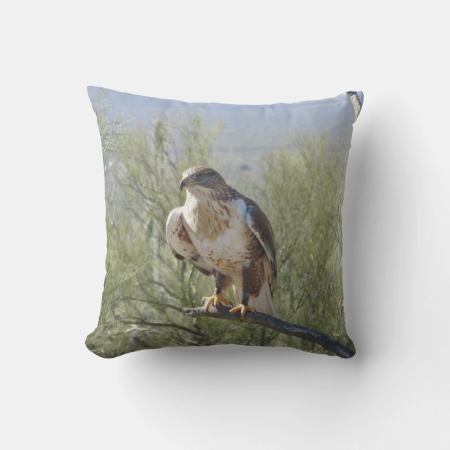 Ferruginous hök kudde (Framsida)