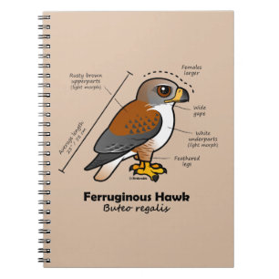 Ferruginous hökstatistik anteckningsbok med spiral