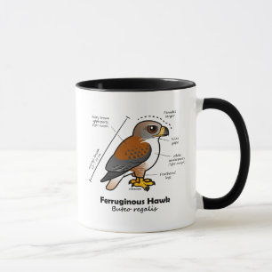 Ferruginous hökstatistik mugg