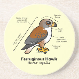 Ferruginous hökstatistik underlägg