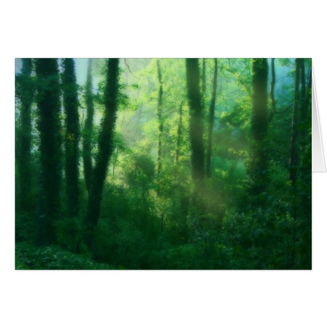 Fertilitetskort Hälsningskort (Framsidan Horizontal)