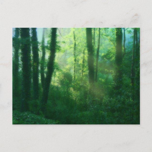 Fertilitetskort Vykort (Framsida)