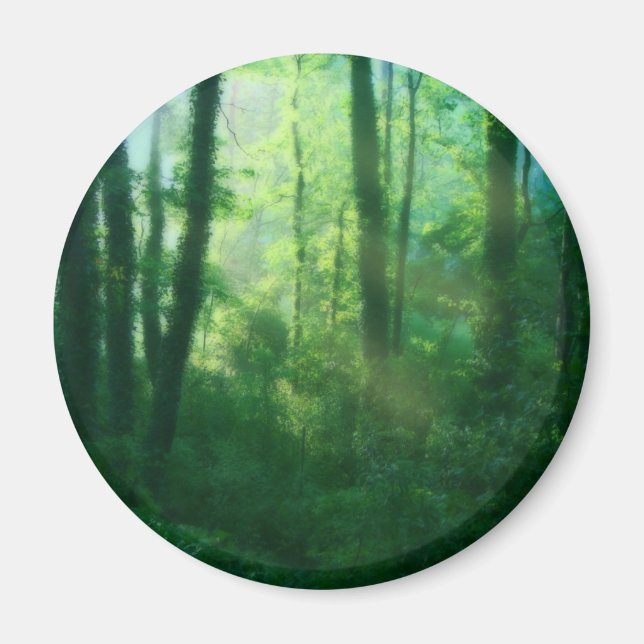 Fertility Magnet (Framsidan)