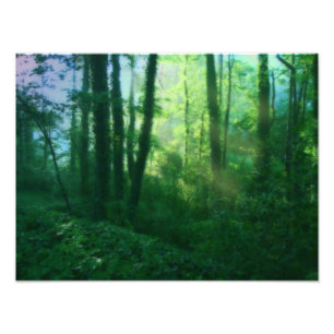 Fertility Photo Print Fototryck