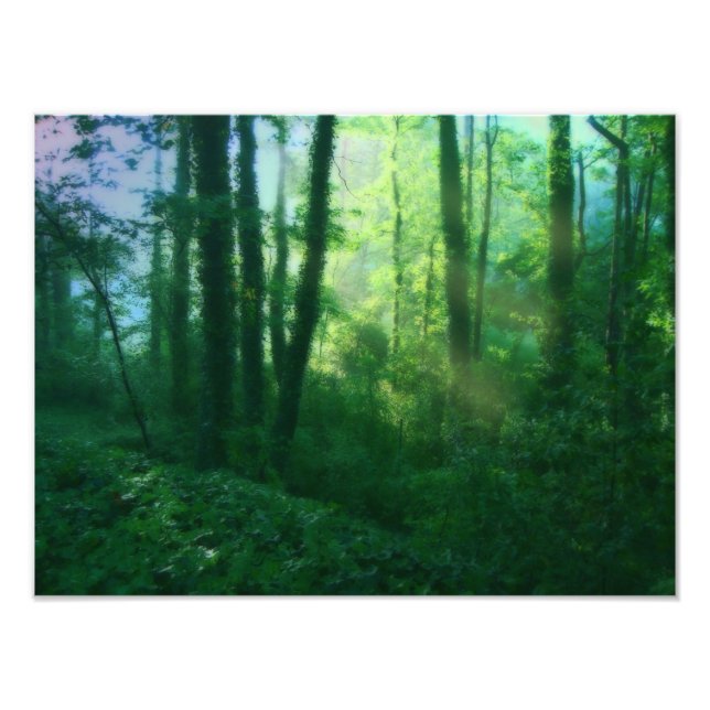 Fertility Photo Print Fototryck (Framsidan)