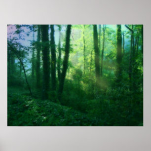 Fertility Print Poster