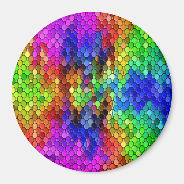 Festiktioner... Magnet (Framsidan)