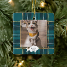 Festiv grön Tartan-rutig kattnamn jul