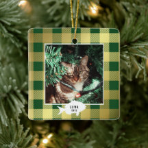 Festiv guldruta kattnamn jul