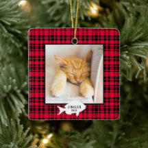Festiv röd rutig kattnamn jul