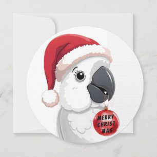 Festiv vit & röd jul söt Santa papegoja  Julkort
