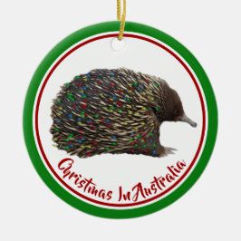 Festive Australia Echidna bar Ljus jul Julgransprydnad Keramik