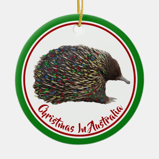 Festive Australia Echidna bar Ljus jul Julgransprydnad Keramik (Framsidan)