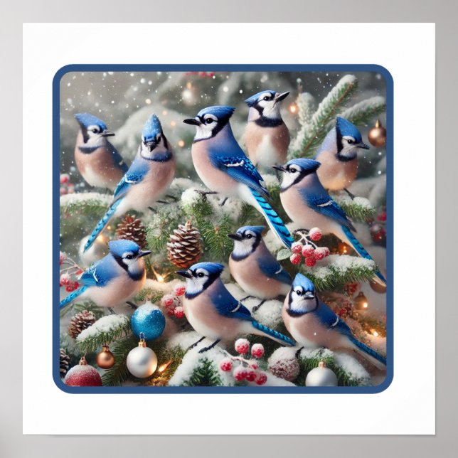 Festive Blue Jays' Winter-samlare Poster (Framsidan)
