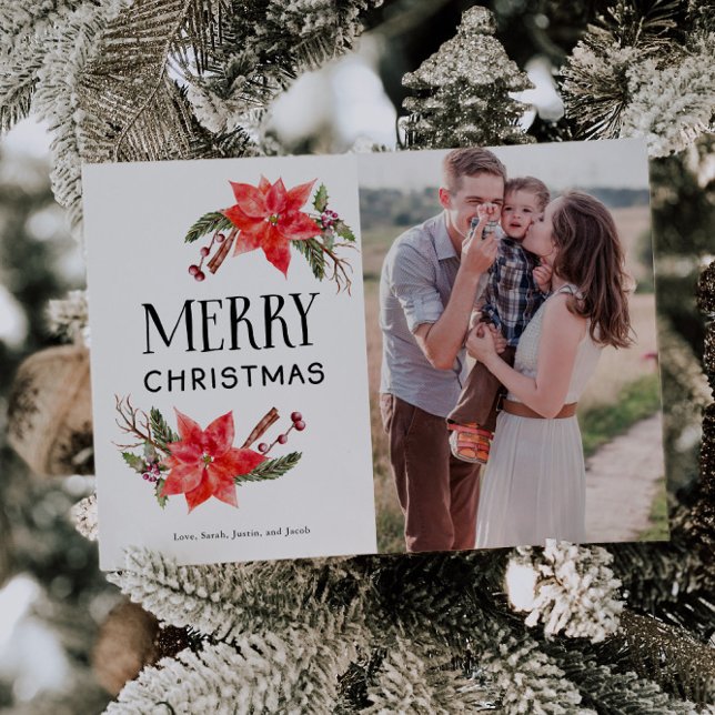 Festive Botanias Poinsettia-julfoto Julkort (Skapare uppladdad)