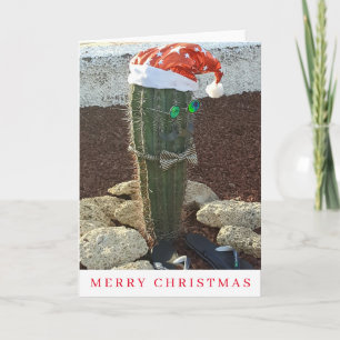 Festive cactus view julkort helgkort