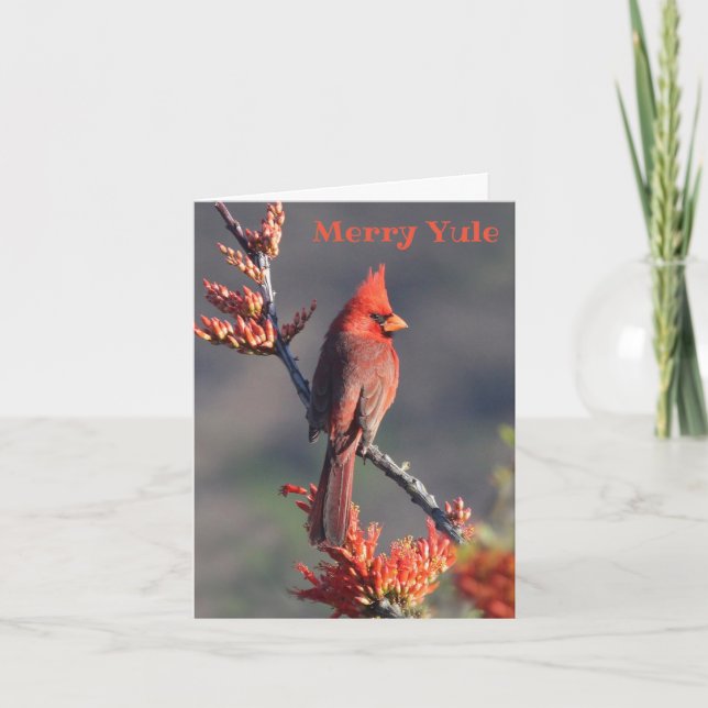Festive Cardinal - Merry Yule Helgkort (Framsida)