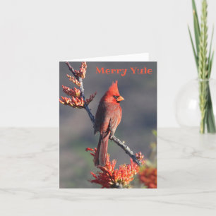 Festive Cardinal - Merry Yule Helgkort