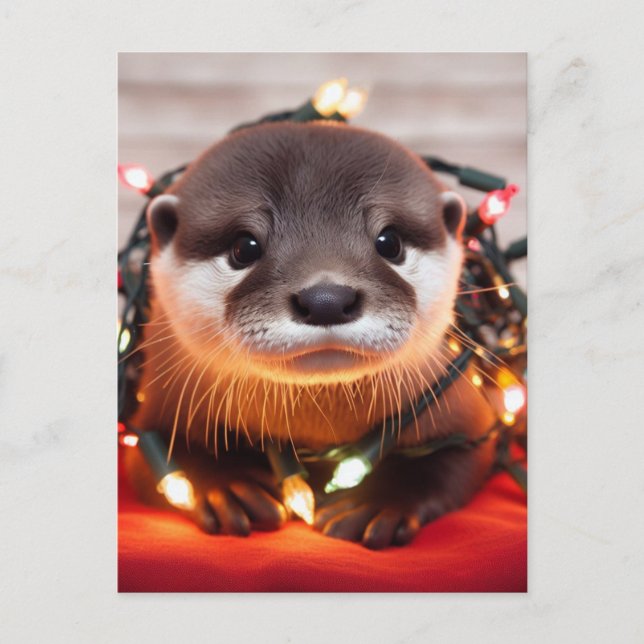 Festive Cute Jul Otter Wrapped in Ljus Vykort (Framsida)