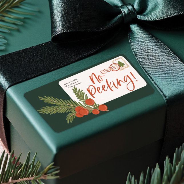 Festive Delivery-postkuvert till och från Fraktsedel (Festive Delivery Postage Envelope To & From Label)