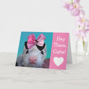 Festive Ferret Birthday Kort