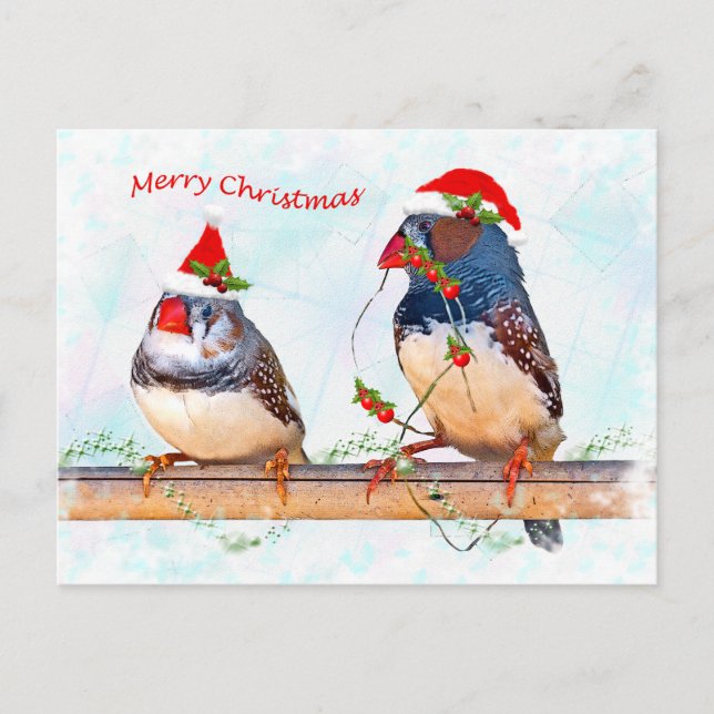 Festive Finches vykort (Framsida)