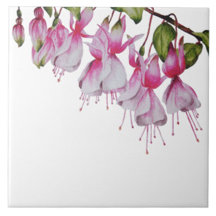 "Festive Fuchsias" på en keramisk platta Kakelplatta