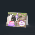 Festive Funny Cow Birthday Kort<br><div class="desc">Klassisk kornig ko humor! Bara höger kort för ett par skratt. Anpassa meddelandena och ha roligt! Tack för tittar! Photo ©Christine Greenspan. Licensierad födelsedagsgrafik.</div>