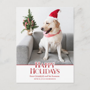 Festive Glad helg Typography   Hund Photo Vykort