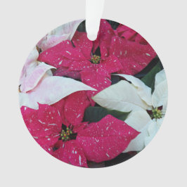 Festive Helgdag Poinsettias Blommigt