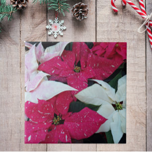 Festive Helgdag Poinsettias Blommigt Kakelplatta