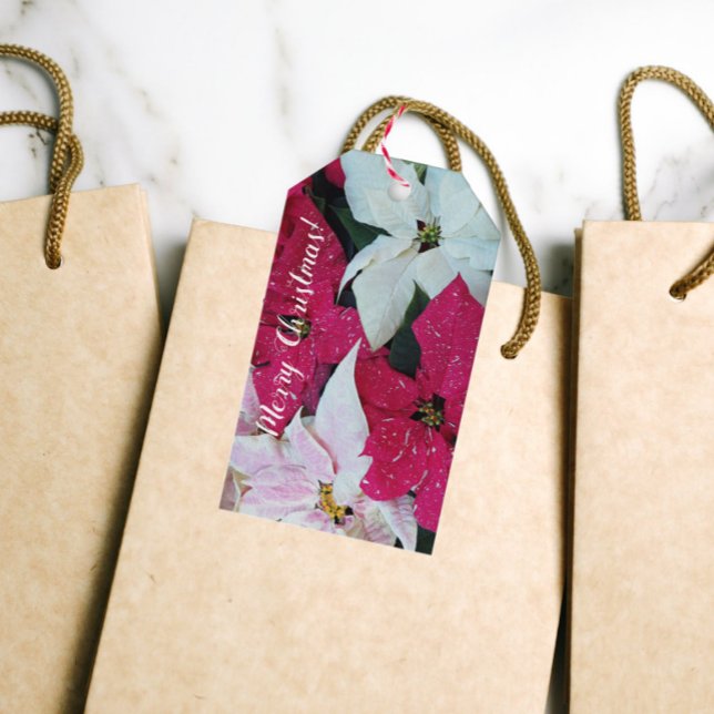 Festive Helgdag Poinsettias Blommigt Presentetikett (In Situ)