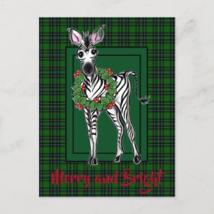 Festive Helgdag Zebra teckning grönt plaid Vykort