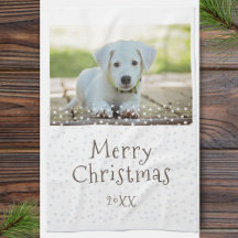 Festive Hund Pet Photo Stars God jul