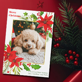 Festive Hund Photo Red jul Poinsettia Magnet