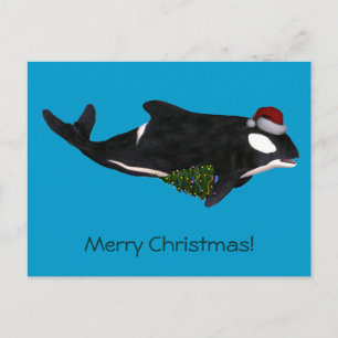 Festive Killer Whale Helg Vykort