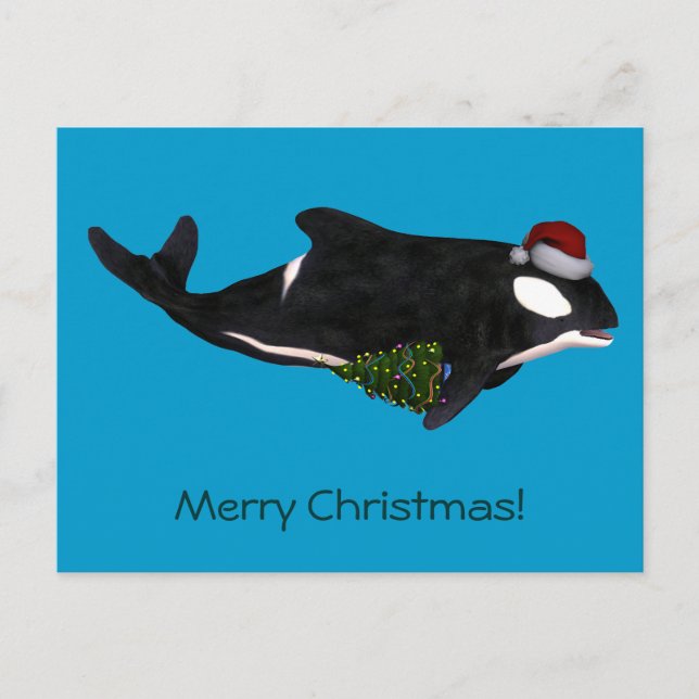 Festive Killer Whale Helg Vykort (Framsida)