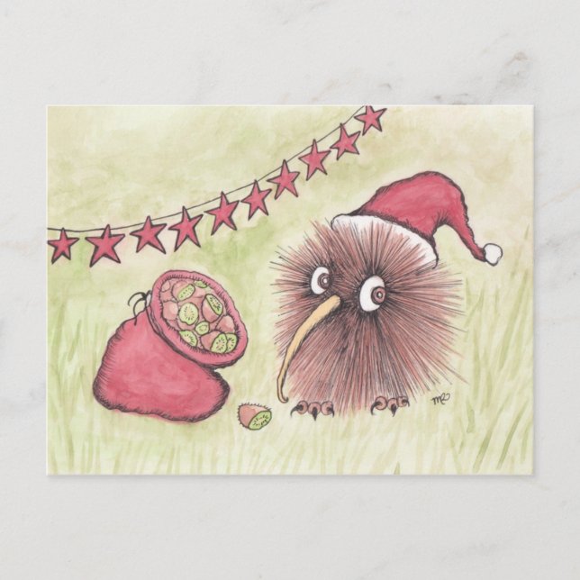 Festive Kiwi Bird Santa Helg Vykort (Framsida)