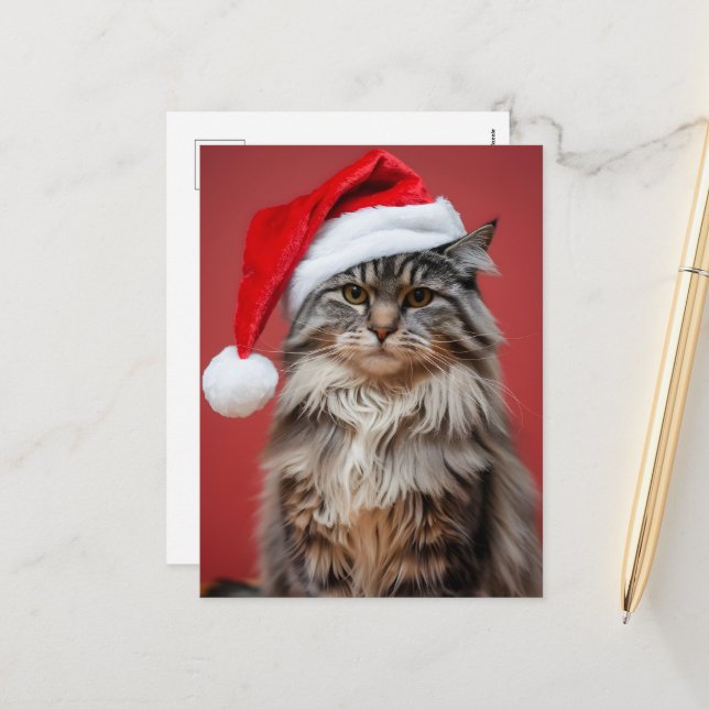Festive Maine Coon Cat i jultomten Helg Vykort (Fram/Back In Situ)