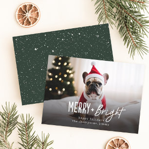 Festive Merry Modern Hund Photo jul Julkort