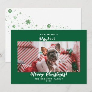 Festive Pet Photo God jul Helgdag Card Julkort
