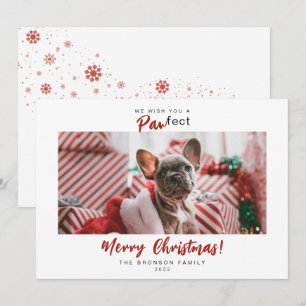 Festive Pet Photo God jul-skript Julkort