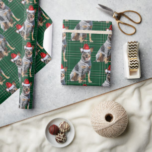 Festive Play Blue Heeler Santa Hund jul Presentpapper